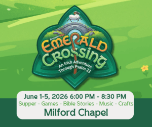 VBS Milford Info